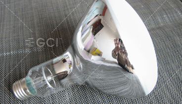 UV300W紫外線燈泡